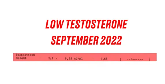 Dimi vor der Transformation - Bluttest-Analyse