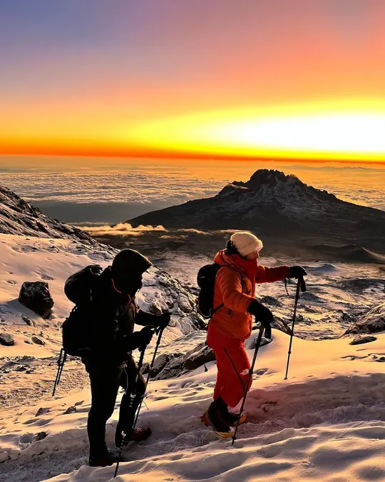 NIKIBRAH family member 10