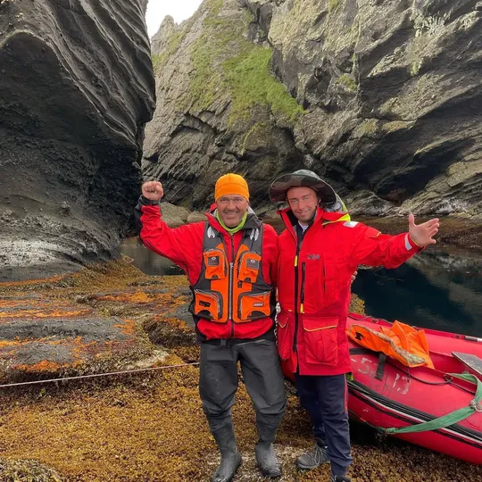 NIKIBRAH family member 17