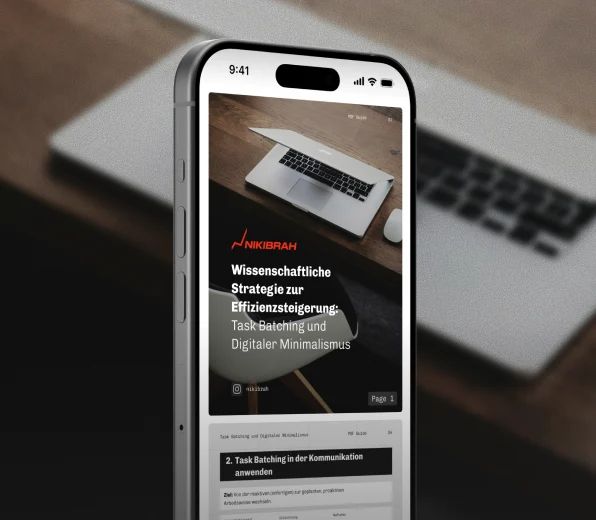 Vorschau des Guides Wissenschaftliche Strategie zur Effizienzsteigerung